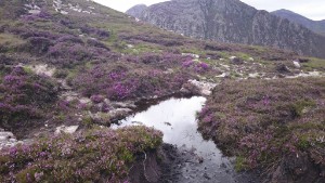 Mourne Heritage Trust